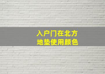 入户门在北方 地垫使用颜色